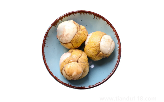 活珠子不能和什么東西同時(shí)吃（活珠子怎么吃好）
