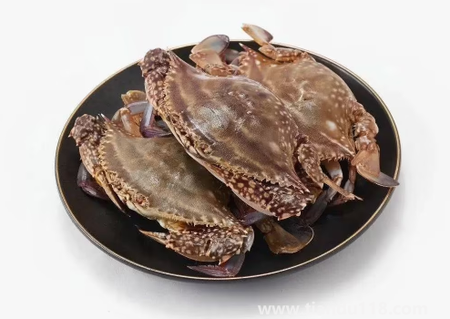 網(wǎng)購(gòu)的梭子蟹上午到的到晚上吃可以嗎(梭子蟹怎么做好吃)(圖2) 網(wǎng)購(gòu)的梭子蟹上午到的到晚上吃可以嗎2