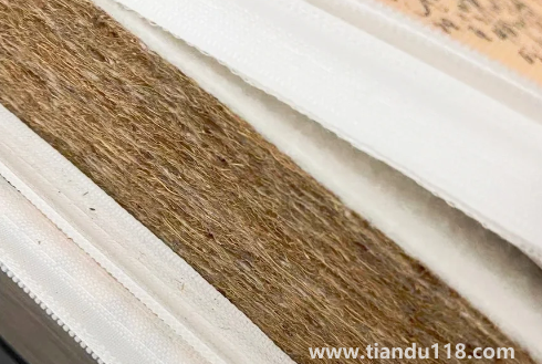 椰棕會不會生蟲子(給孩子買硬棕墊要不要配一層乳膠)(圖2) 椰棕會不會生蟲子2